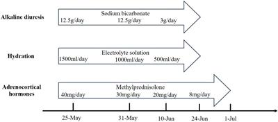 Case Report: Etoposide-nedaplatin induced rhabdomyolysis in a small cell lung cancer patient